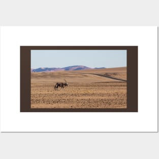 Gemsbok walking on the sandy plain. Posters and Art